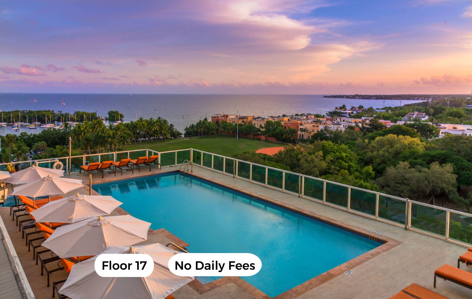 Zoned Studio for World Cup | Coconut Grove Base