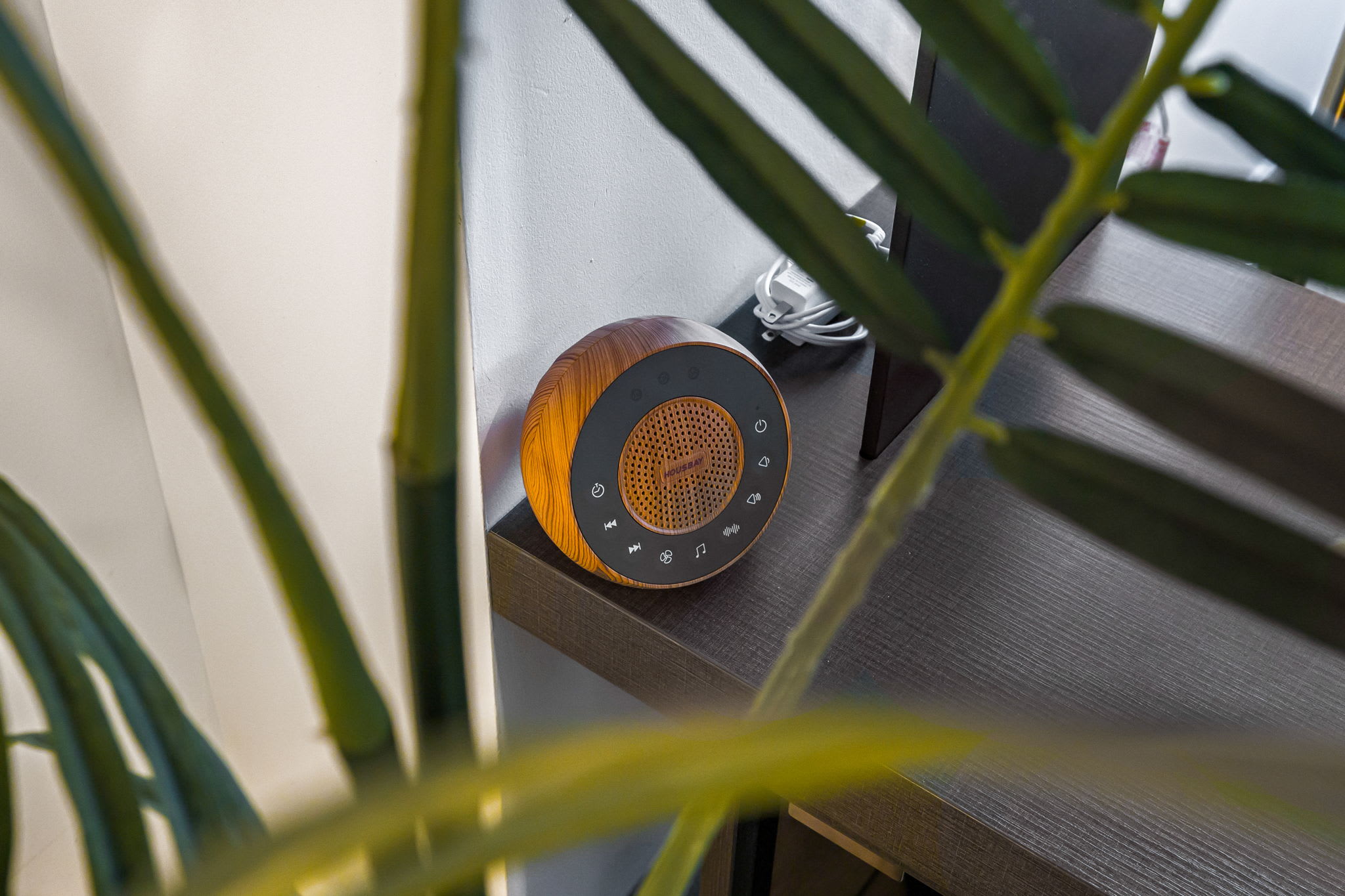 A close-up view of a modern, wood-grain finish sound machine or speaker with a circular control panel, resting on a dark brown shelf. A green plant partially frames the shot, adding a touch of nature.