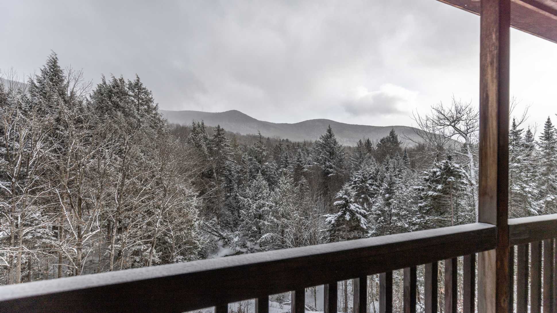 A scenic view from a wooden balcony overlooks a vast, snow-dusted forest with distant mountains under a cloudy sky, highlighting the property's natural surroundings and mountain views.