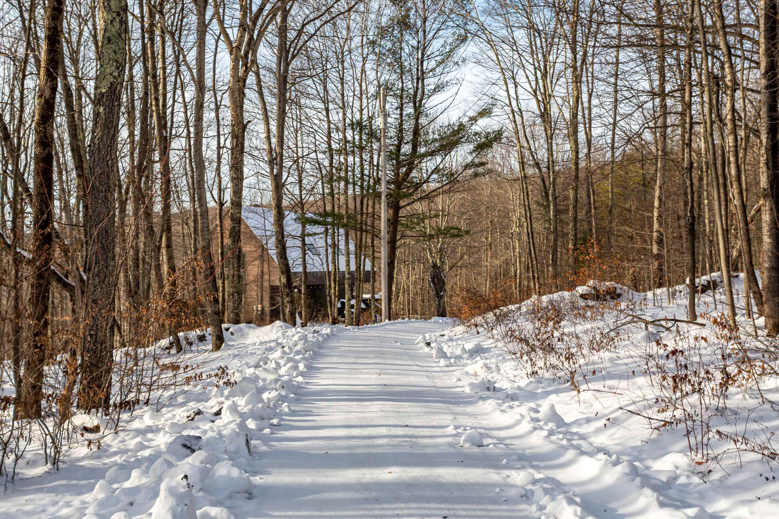 A snow-covered path leads through a bare winter forest towards a distant brown house with a snow-dusted roof, under a bright blue sky. The path is lined with deep snowdrifts and tall, leafless trees.
