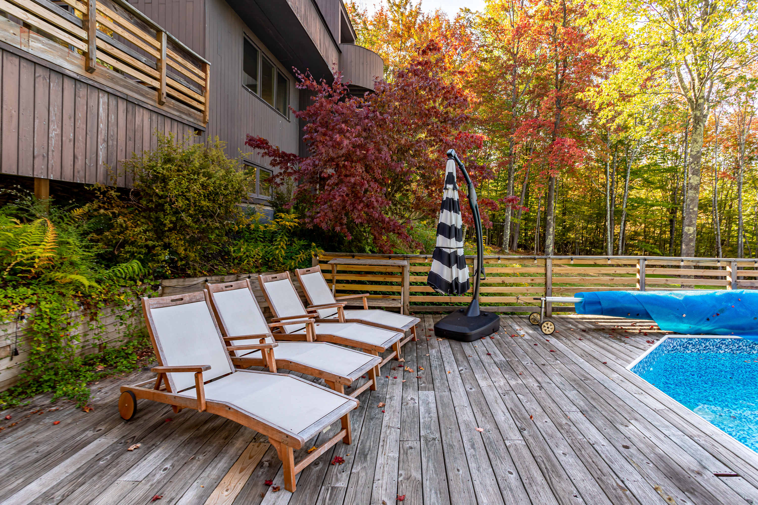 A wooden deck surrounds a blue swimming pool, with several light-colored lounge chairs arranged on the deck. A striped umbrella stands nearby, and a wooden fence encloses the pool area, backed by vibrant autumn trees.