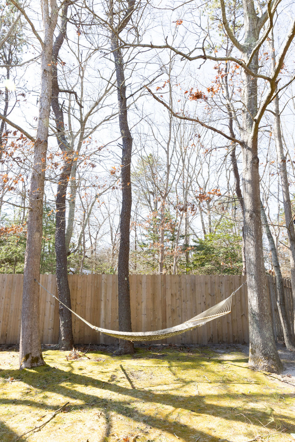 A comfortable white hammock is strung between two tall trees in a shaded, grassy area, backed by a wooden privacy fence. The surrounding environment is natural and wooded, offering a peaceful retreat.