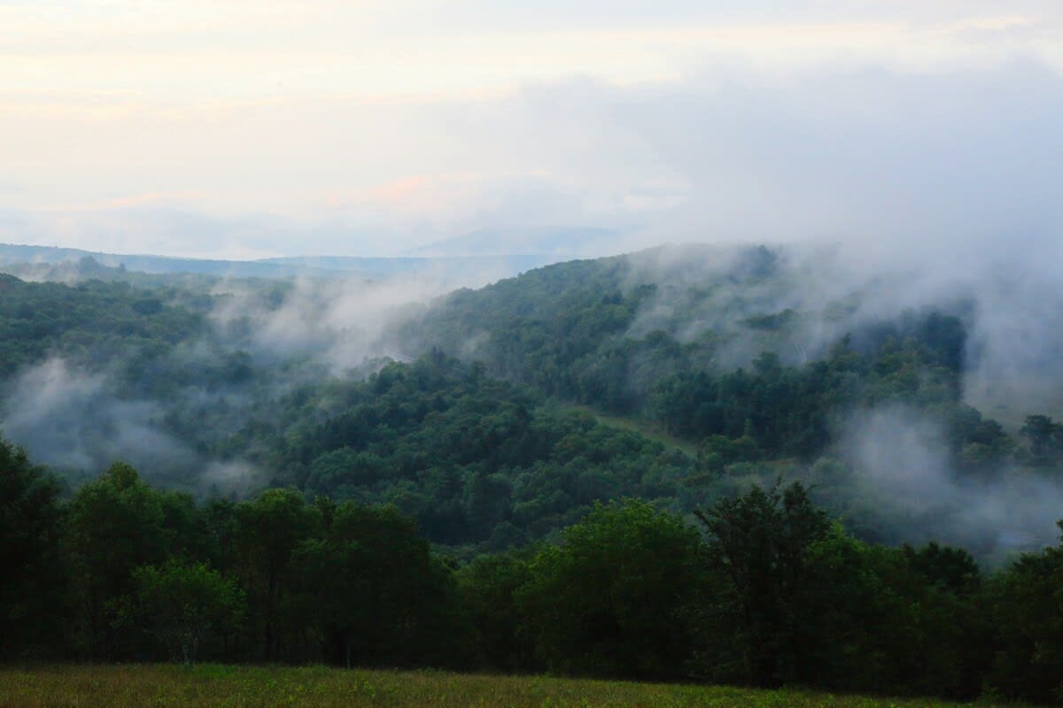 A breathtaking panoramic view of rolling green mountains shrouded in a misty fog, with a cloudy sky overhead and a grassy hill in the foreground.