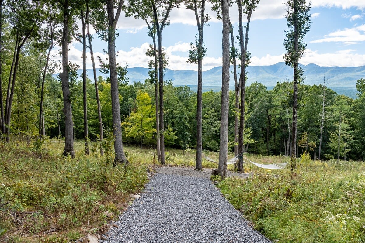 A gravel path leads through a grove of tall, slender trees, opening up to a panoramic view of distant rolling mountains under a bright blue sky. Hammocks are visible among the trees.