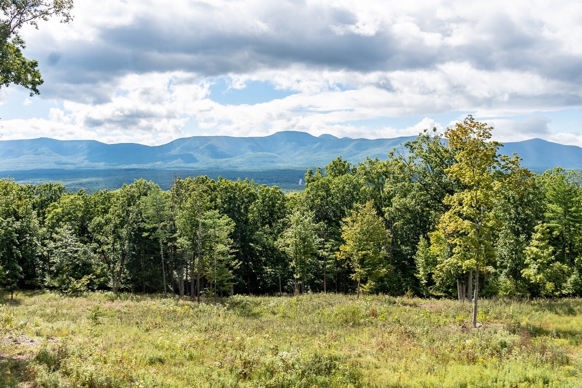 Expansive panoramic view of rolling green mountains and a dense forest under a partly cloudy sky, with a grassy field in the foreground.