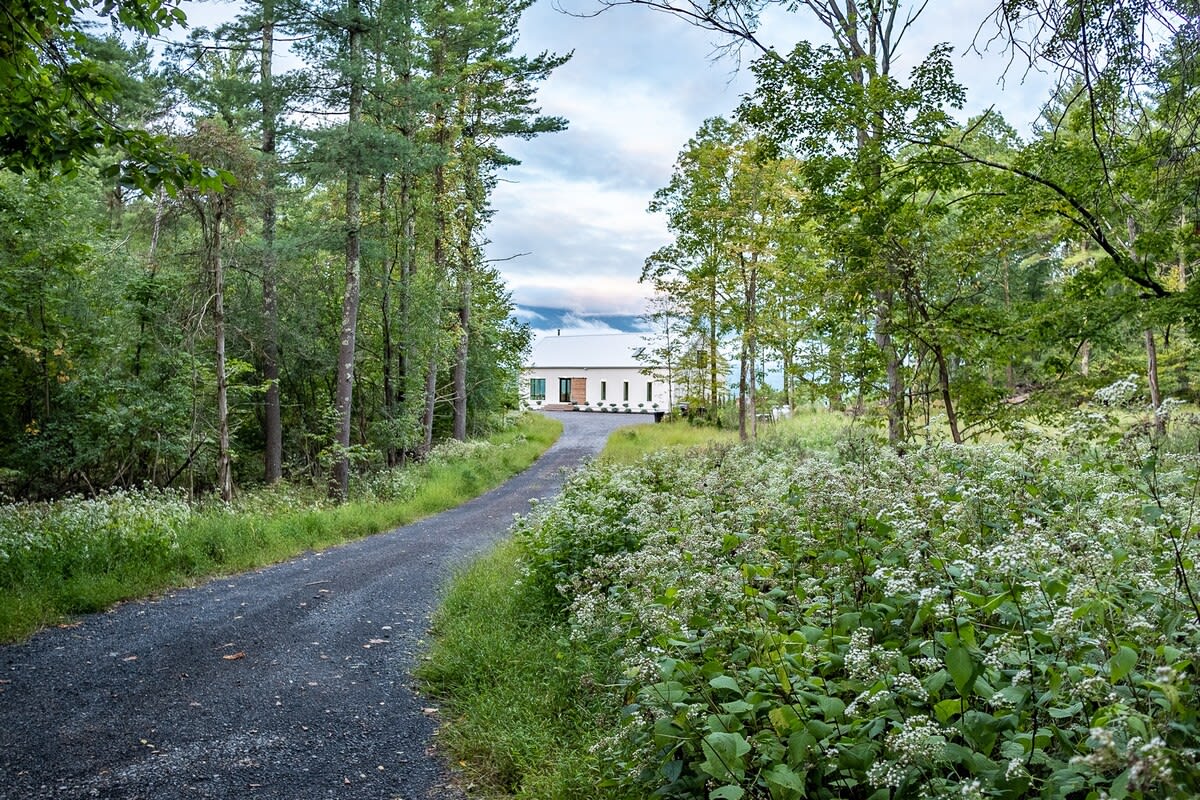A long gravel driveway winds through a tunnel of tall trees and lush green undergrowth, leading to a modern white house visible in the distance under a partly cloudy sky.