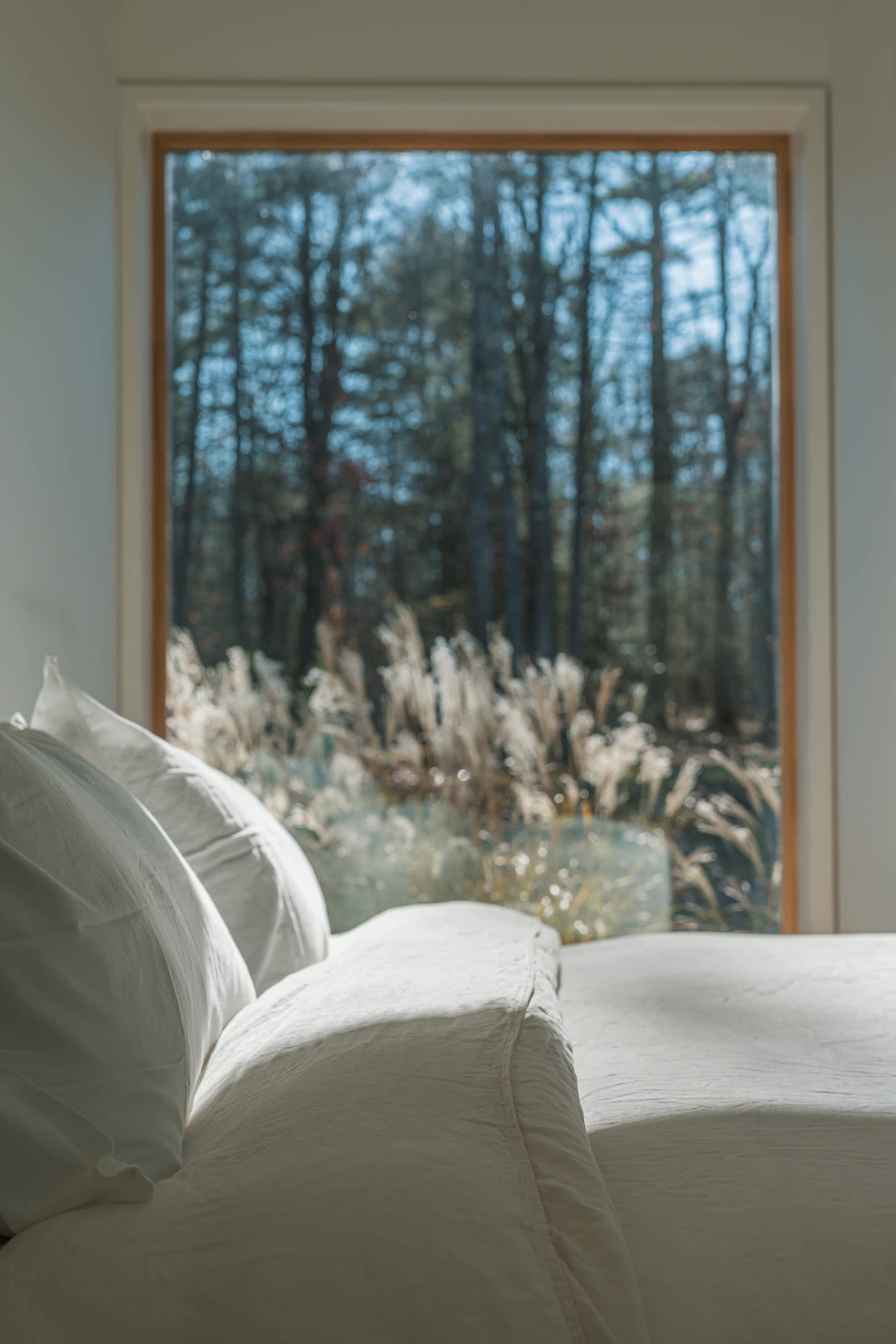 Close-up of a bed with white pillows and bedding, positioned to face a large window offering a blurred view of a sunlit forest and tall grasses outside, creating a serene atmosphere.