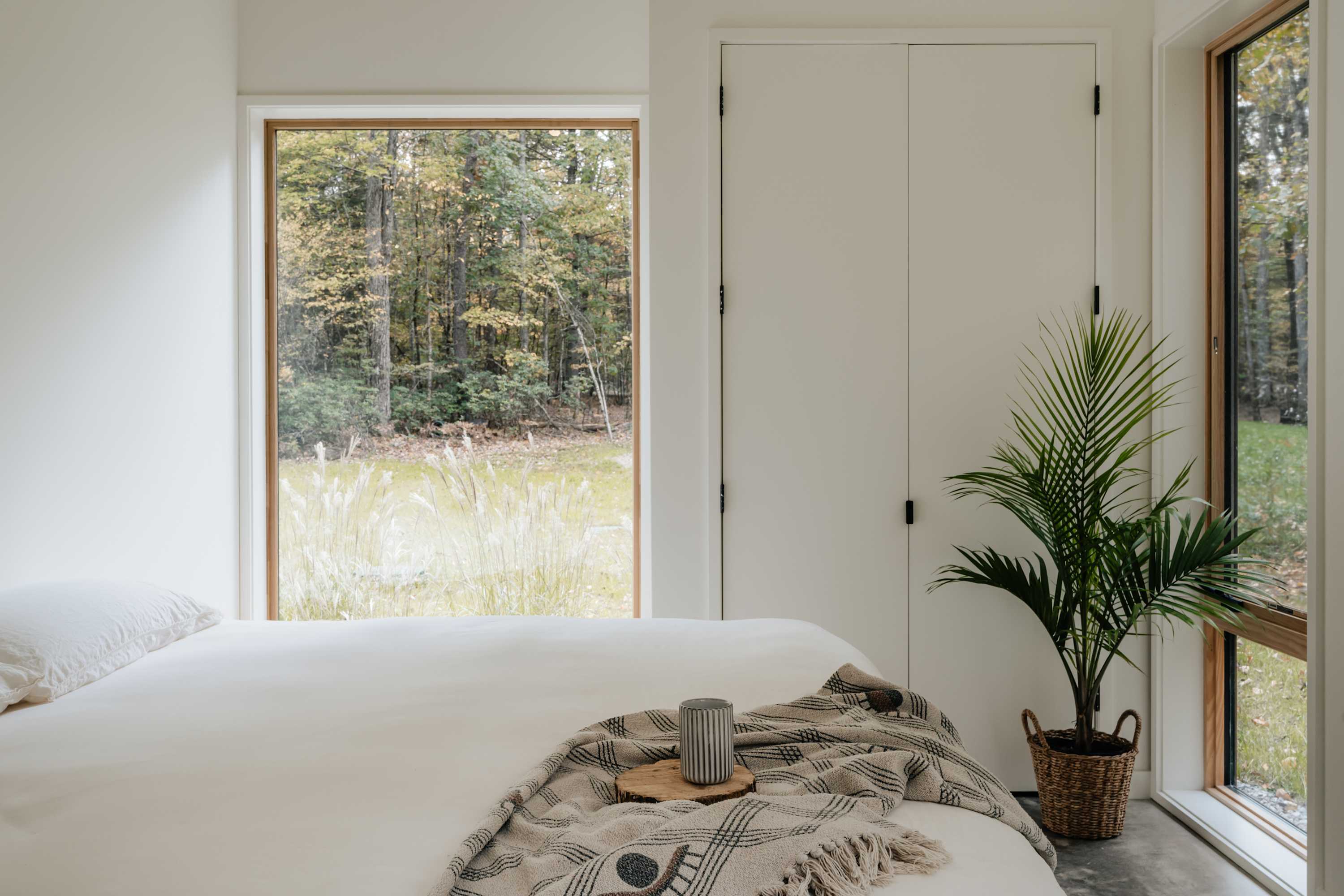 Bright bedroom featuring a large bed with white bedding, a patterned throw blanket, and a potted palm plant, with a wide window offering views of a lush forest and grassy yard.