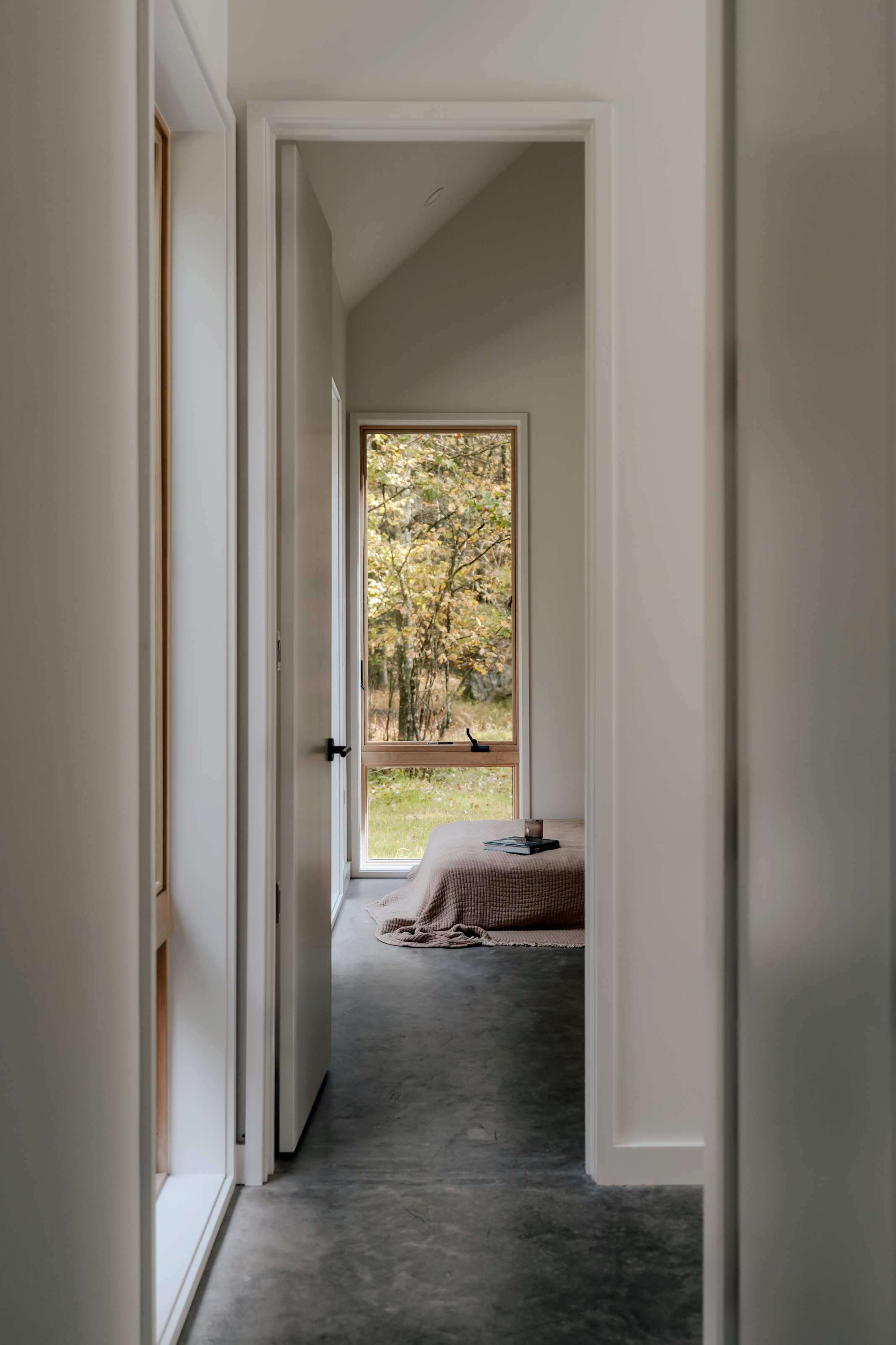 A hallway leads into a bright bedroom with a low-profile bed and a large floor-to-ceiling window offering a serene view of the autumn forest. The room features minimalist decor and concrete flooring.