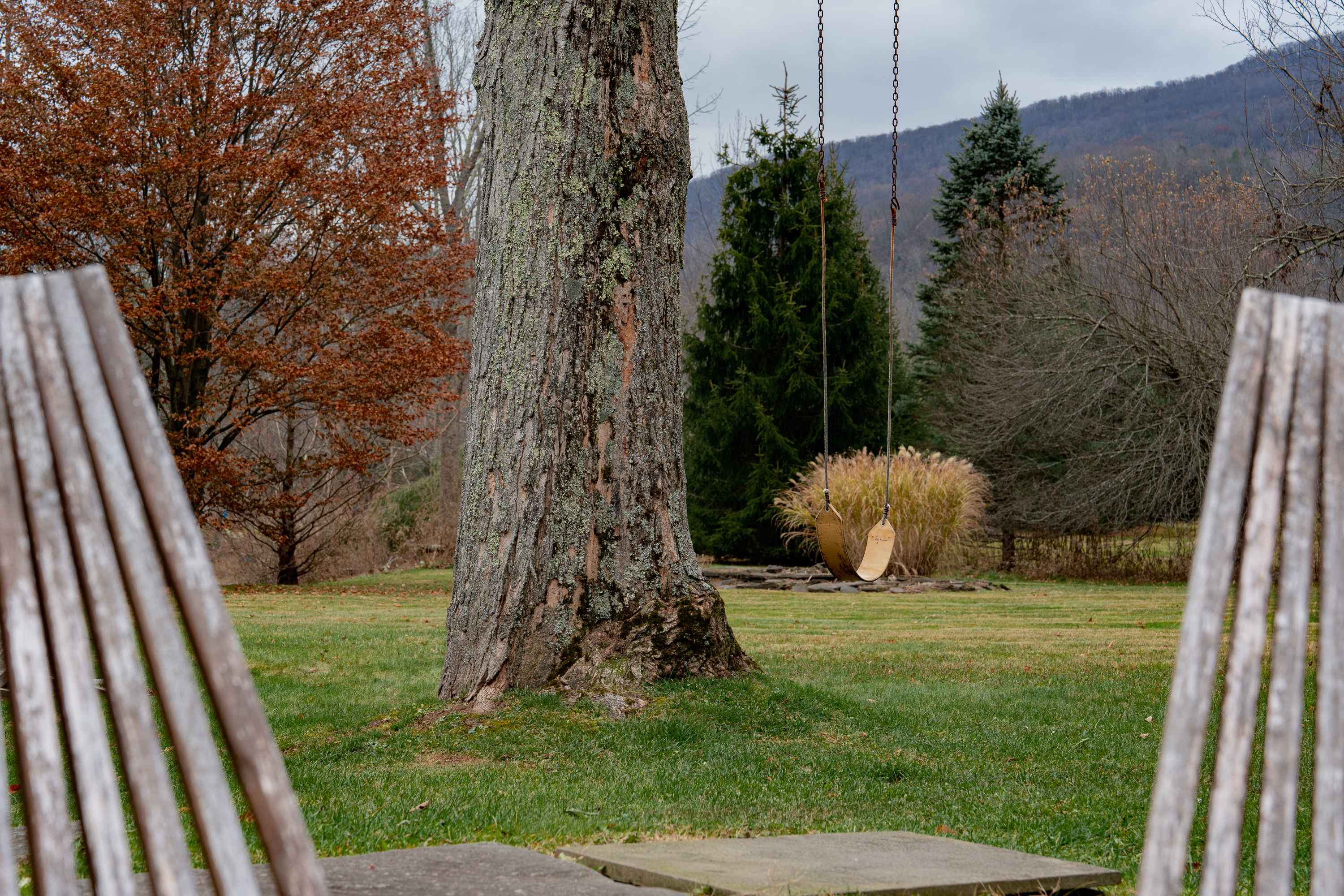 Lush green yard with a large tree in the foreground, featuring a wooden tree swing hanging from a branch, with distant mountains and evergreen trees in the background.