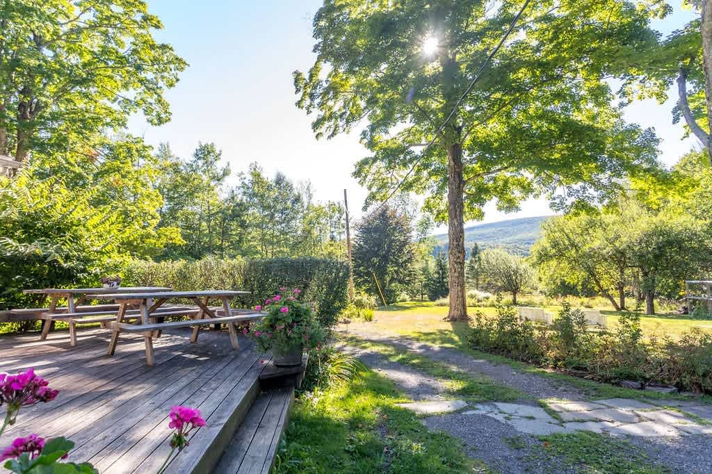 Sunny outdoor deck with wooden picnic tables and benches, surrounded by lush green trees and flowering plants, offering views of distant hills under a bright blue sky.