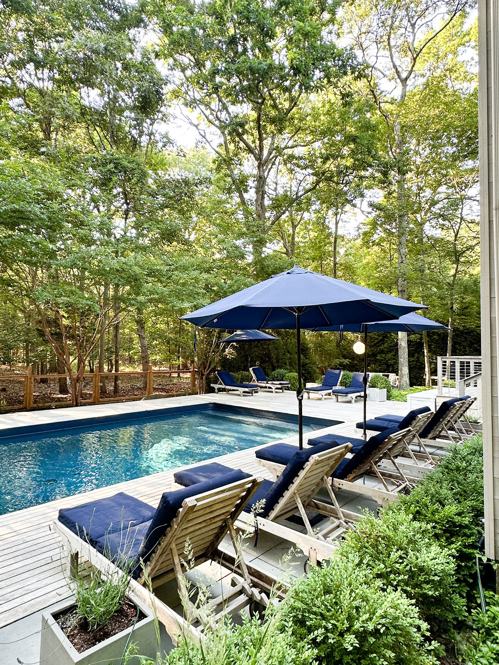 Serene outdoor pool area with a wooden deck, several blue lounge chairs, and matching umbrellas, set against a backdrop of dense green foliage and the modern exterior of the house.