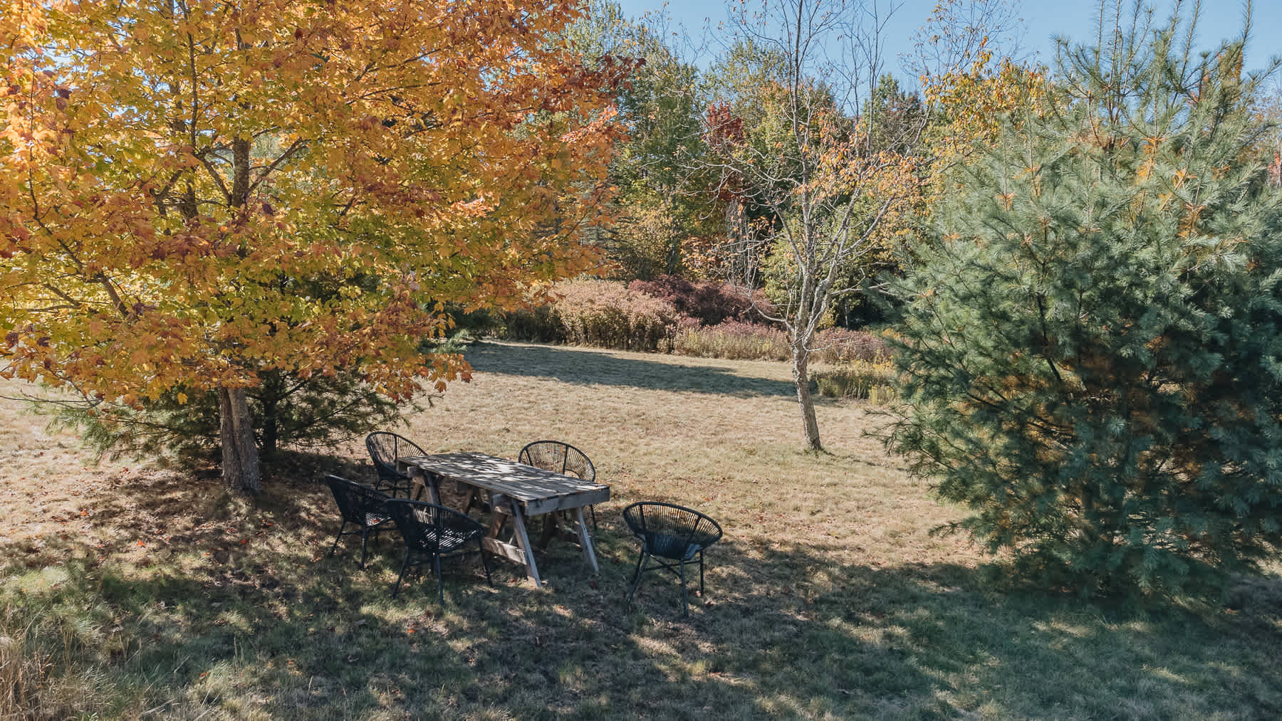 A rustic wooden picnic table with four black metal chairs sits on a dry grassy lawn, shaded by a large tree with bright orange and yellow autumn leaves. Pine trees and other sparse foliage are visible in the background.