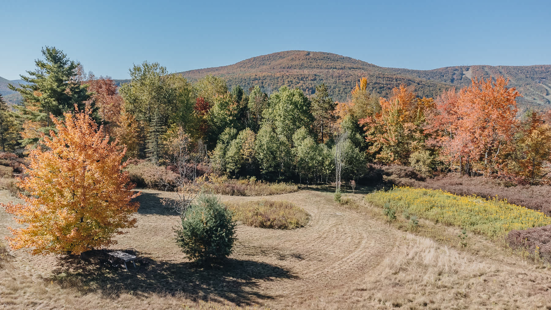 Expansive outdoor view of a rolling landscape with vibrant autumn foliage, a mowed path through tall grasses, and distant mountains under a clear blue sky.