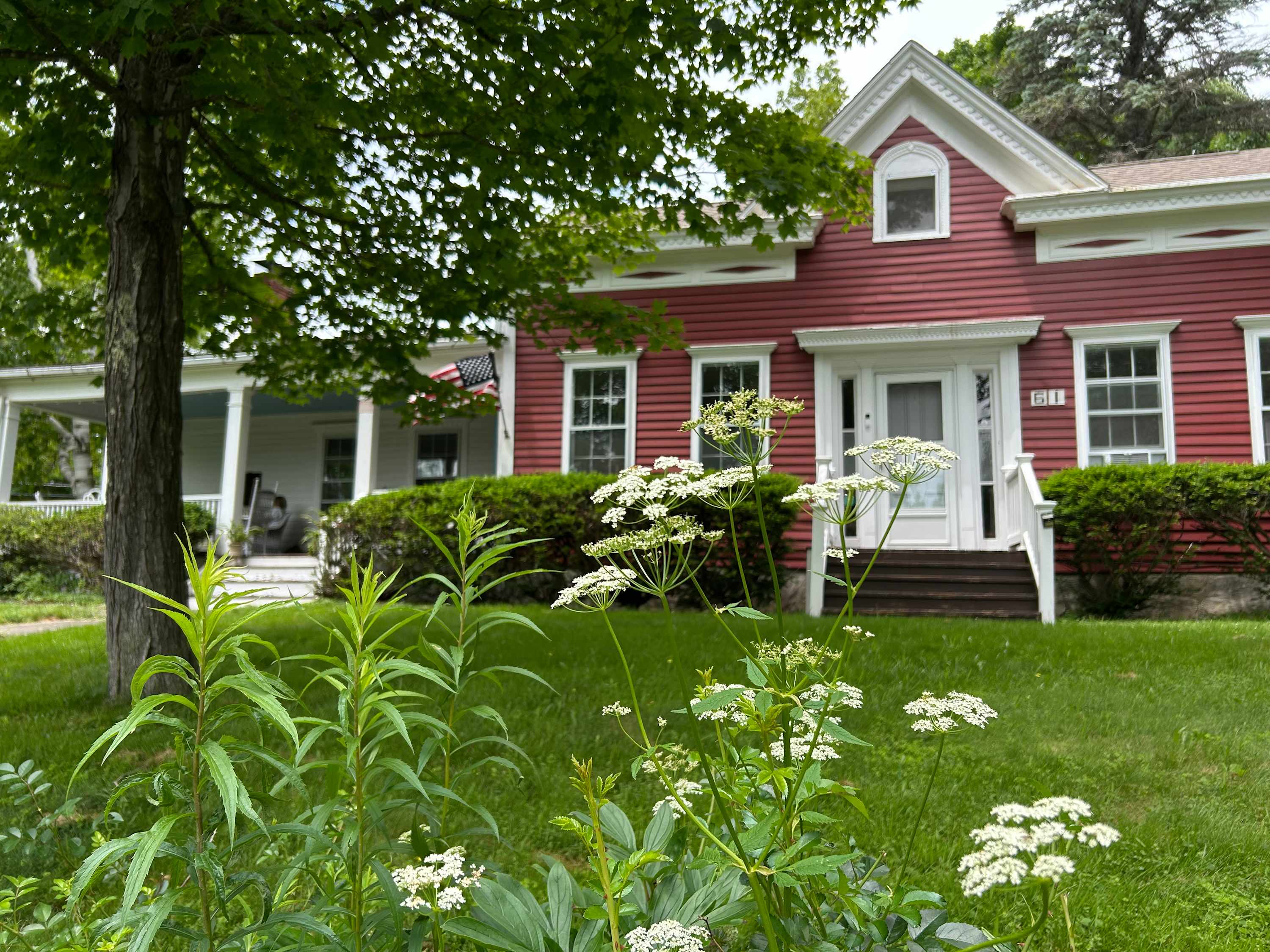 Carrotflower Farmhouse: Ski Views | Walk to Town — photo 4