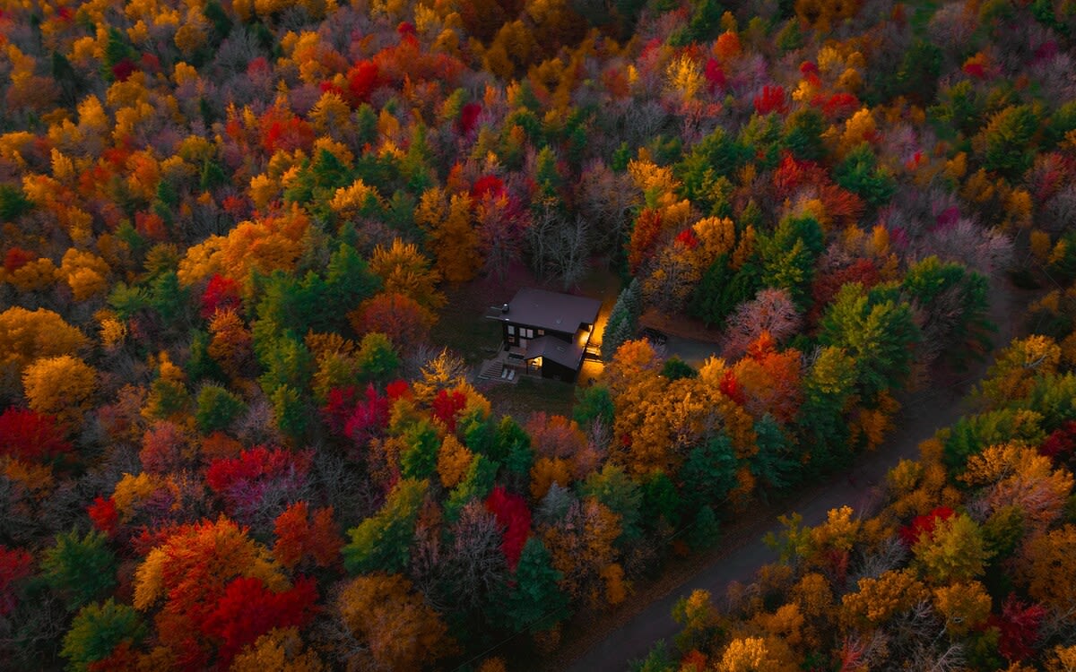 Expansive aerial view showcasing the dark house with a reddish roof, nestled within a vast, colorful forest of autumn trees in various shades of red, orange, and green. A winding road is visible in the foreground.