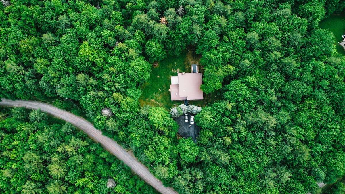 High aerial view of the dark house with a reddish roof, completely surrounded by a dense, lush green forest during summer. A dirt road curves past the property, and two cars are parked near the house.