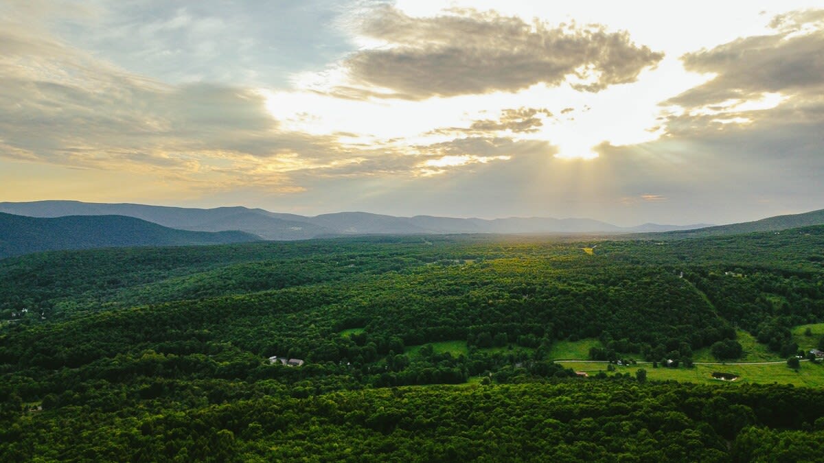 Panoramic aerial landscape view of a vast, verdant forest stretching towards distant mountains under a dramatic sky with sun rays breaking through clouds. A few scattered houses are visible in the expansive green landscape.