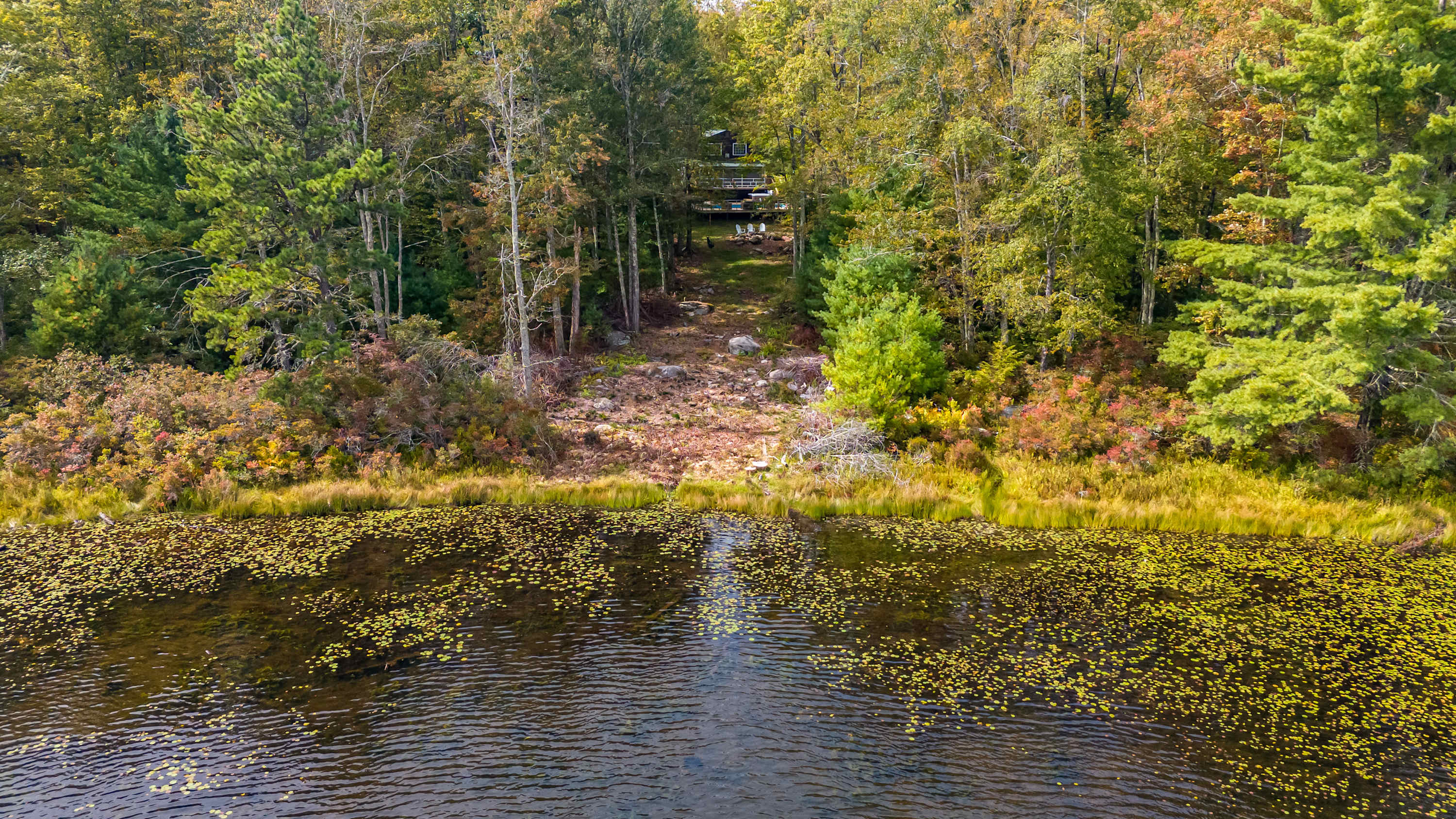 A distant view from a lake shows a house nestled high on a wooded slope, surrounded by dense green and autumnal trees, with a clear path leading down to the water's edge, reflecting the sky.