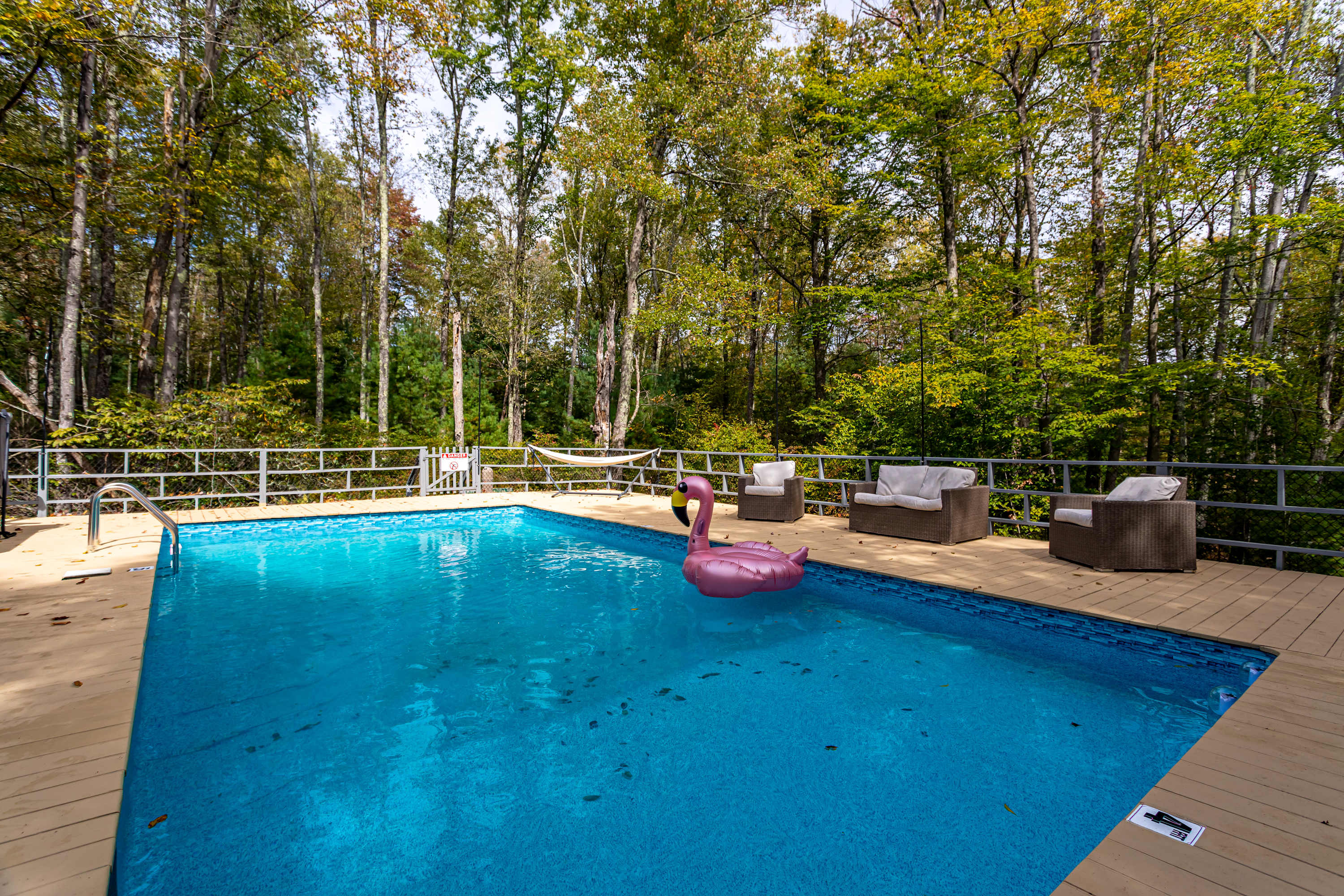 Wide shot of the rectangular swimming pool with a pink flamingo float, surrounded by a light-colored wooden deck and a metal fence. Comfortable outdoor lounge seating and a hammock are arranged on the deck, with a dense forest backdrop.