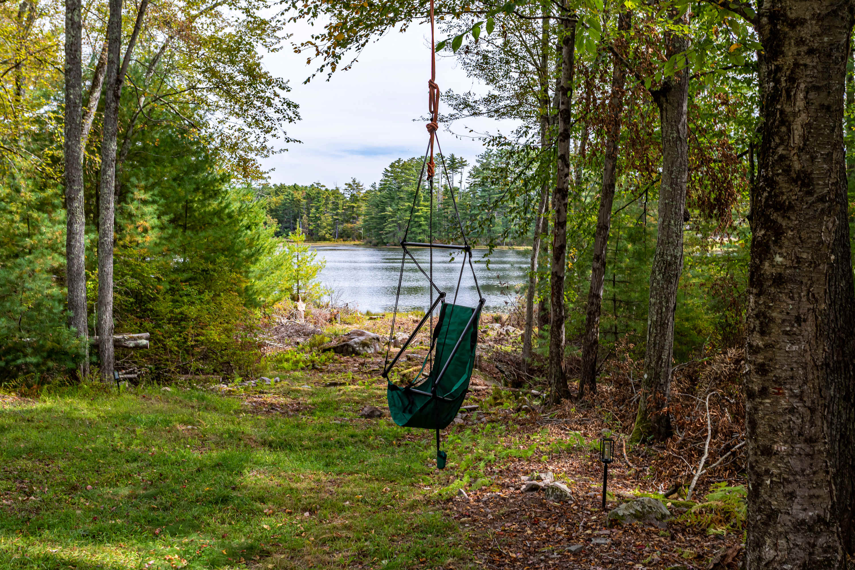 A green fabric swing chair hangs from a tree branch in a grassy, wooded area, offering a serene view of a calm lake with lily pads in the distance under a partly cloudy sky.