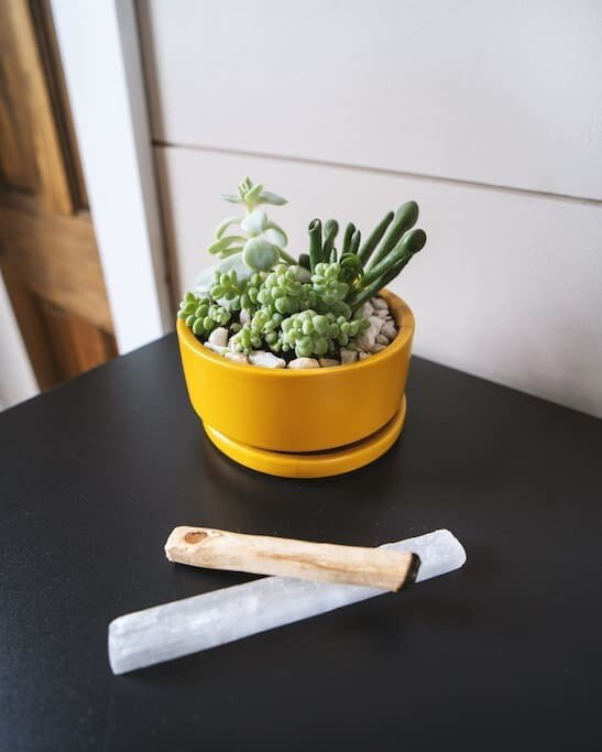 A close-up of a small yellow ceramic pot holding various green succulents, placed on a black surface. Two pieces of palo santo wood and a selenite crystal are beside the pot.