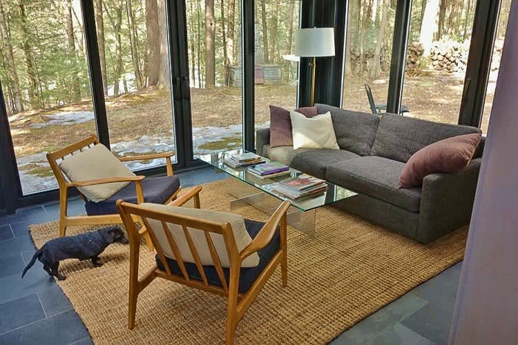 A modern living room with floor-to-ceiling windows offering forest views, featuring a dark gray sofa, two wooden armchairs with cushions, a glass coffee table, and a natural fiber rug. A small dark dog walks on the rug.