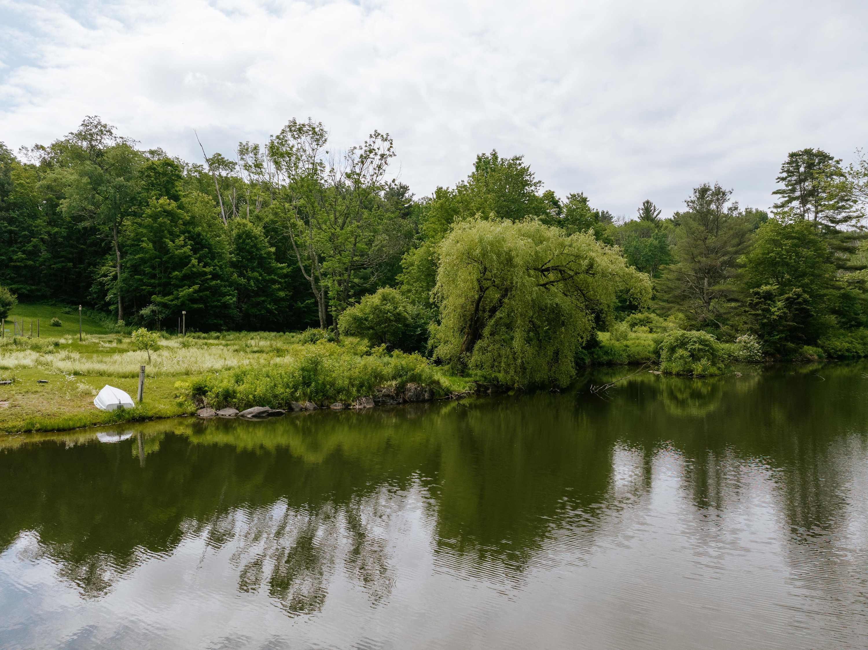 A serene lake or pond reflects the cloudy sky and a lush green shoreline with various trees, including a prominent weeping willow. The water's surface shows gentle ripples.
