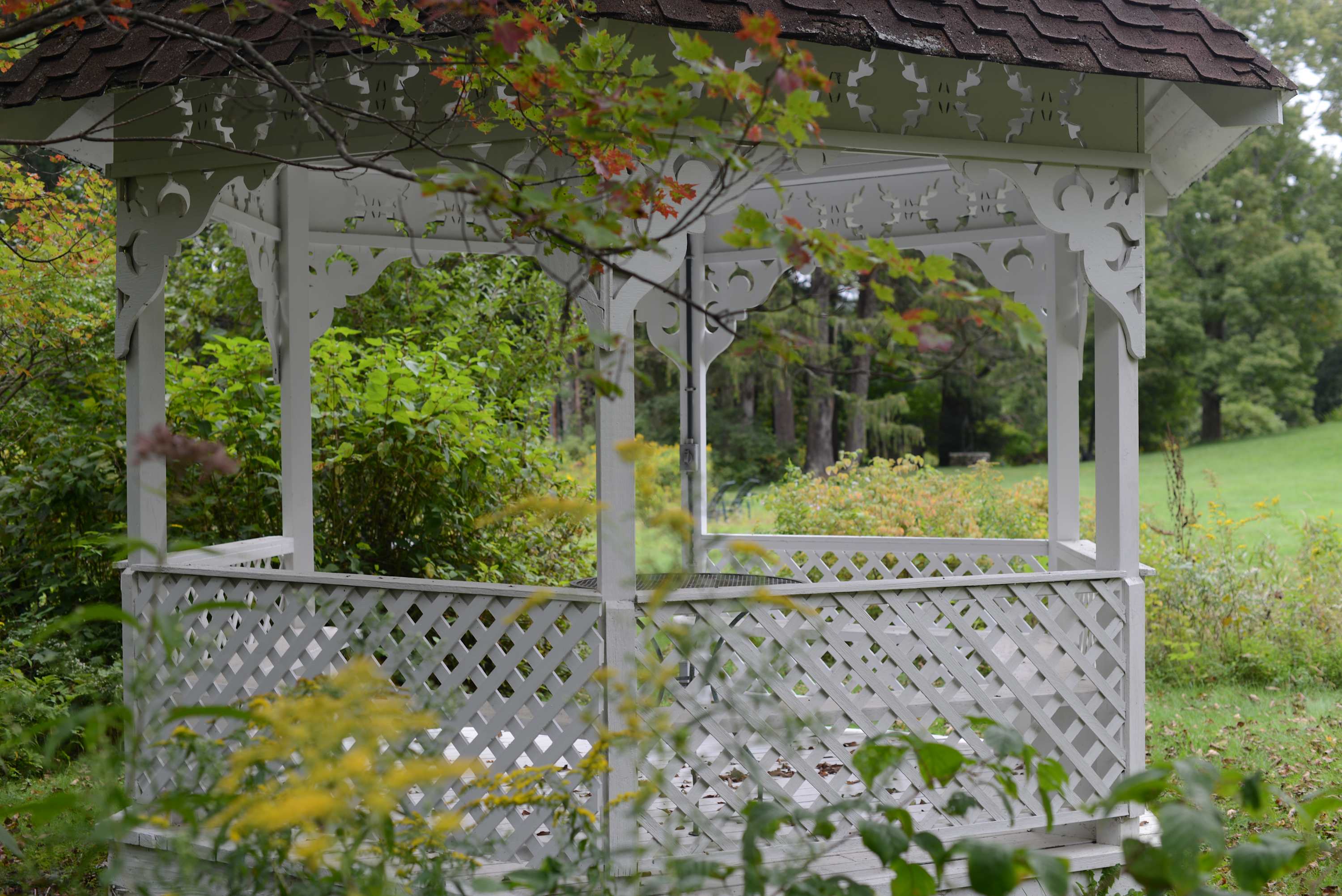 A white wooden gazebo with intricate lattice work and a brown shingled roof is nestled among lush green foliage and yellow wildflowers. The gazebo offers a serene spot in the garden.