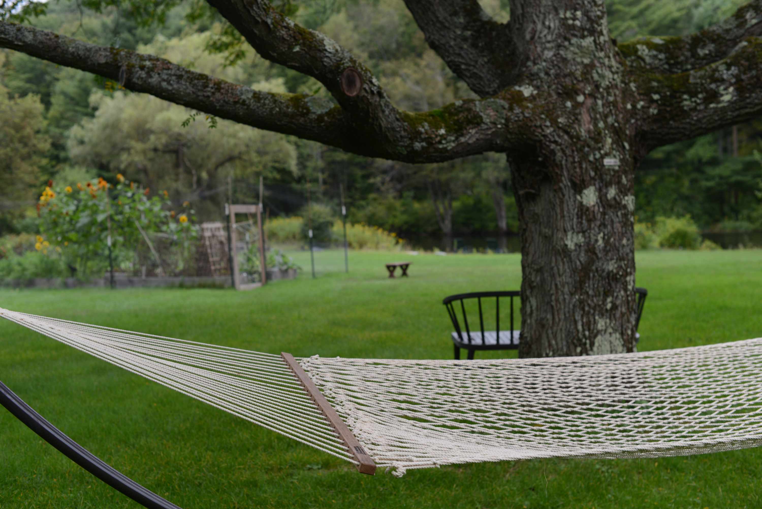 A close-up of a white rope hammock stretched between two posts, with a large mossy tree trunk and branches overhead. In the background, a green lawn extends to a garden area and distant trees.