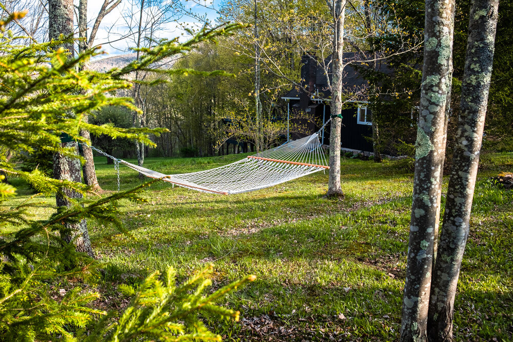 A white woven hammock is invitingly strung between two trees in a lush green yard, bathed in sunlight. A dark-colored house is partially visible in the background, surrounded by mature trees.