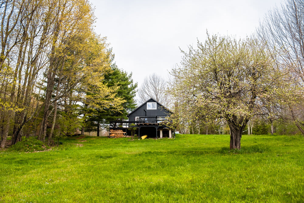 Distant view of the dark-colored cabin, elevated on stilts, standing in a vast green field with scattered trees. The house is framed by lush spring foliage, showcasing its secluded natural setting.