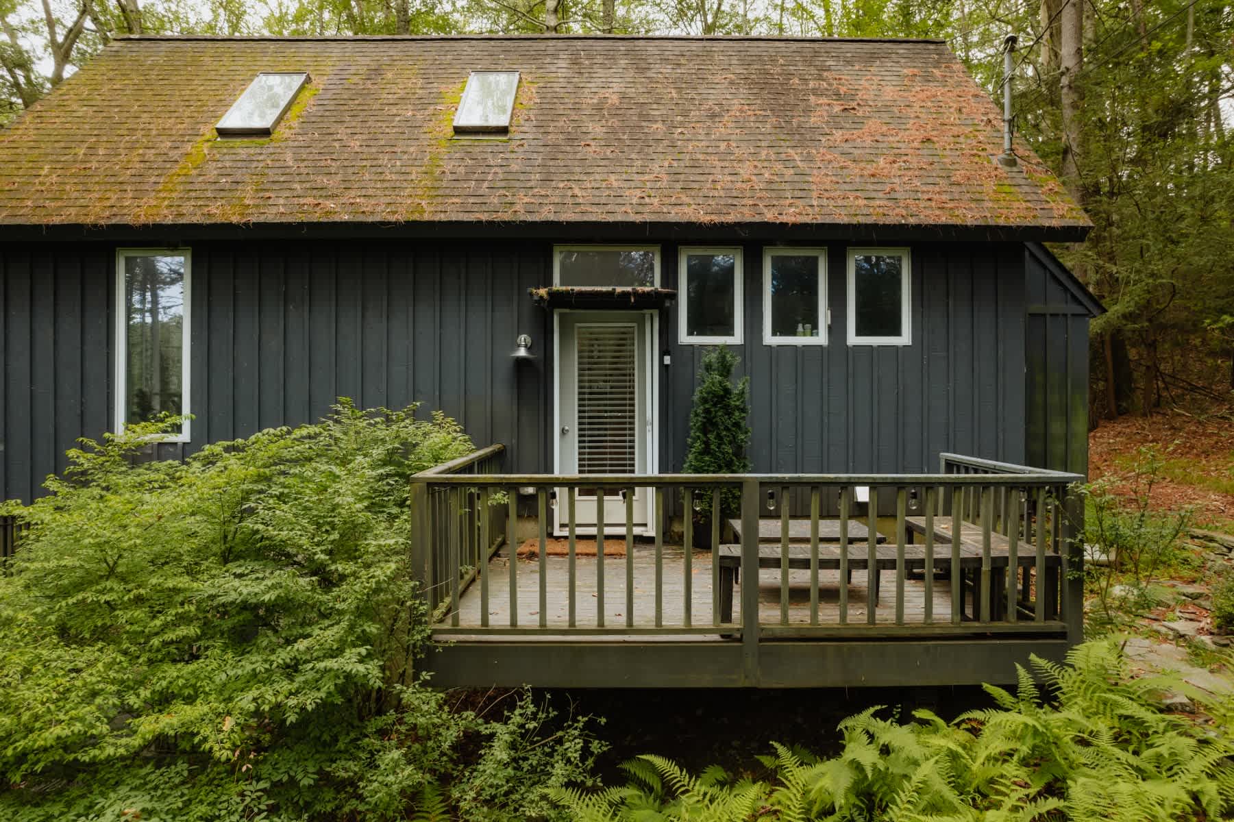 Exterior view of a dark gray house with a brown shingled roof, featuring a wooden deck with a picnic table and surrounded by lush green foliage and tall trees. Two skylights are visible on the roof.