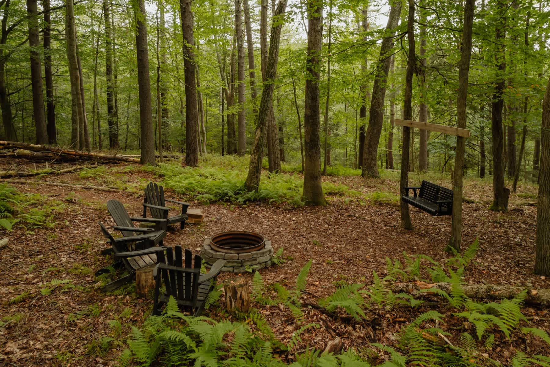Outdoor fire pit area in a wooded setting, surrounded by four dark Adirondack chairs and lush green ferns. A wooden swing hangs from a frame in the background, creating a rustic gathering space.
