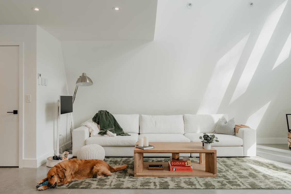 Cozy living room with a long white sofa, a light wood coffee table, and a green patterned rug. A golden retriever dog is relaxing on the rug, and sunlight streams through the high windows.