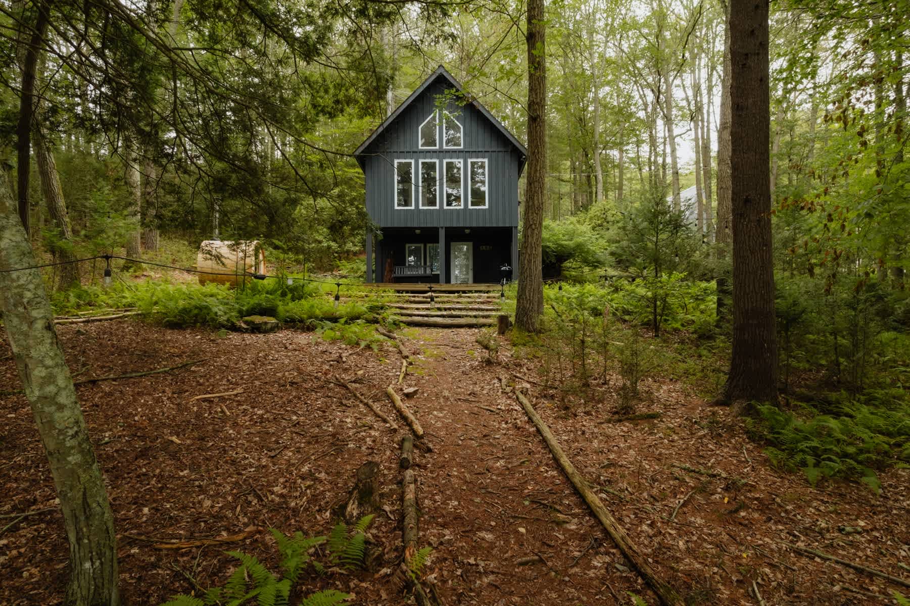 A dark gray, two-story cabin with multiple white-framed windows is nestled deep within a vibrant green forest, accessed by a rustic path of wooden steps and fallen leaves. Lush ferns and tall trees surround the secluded property.