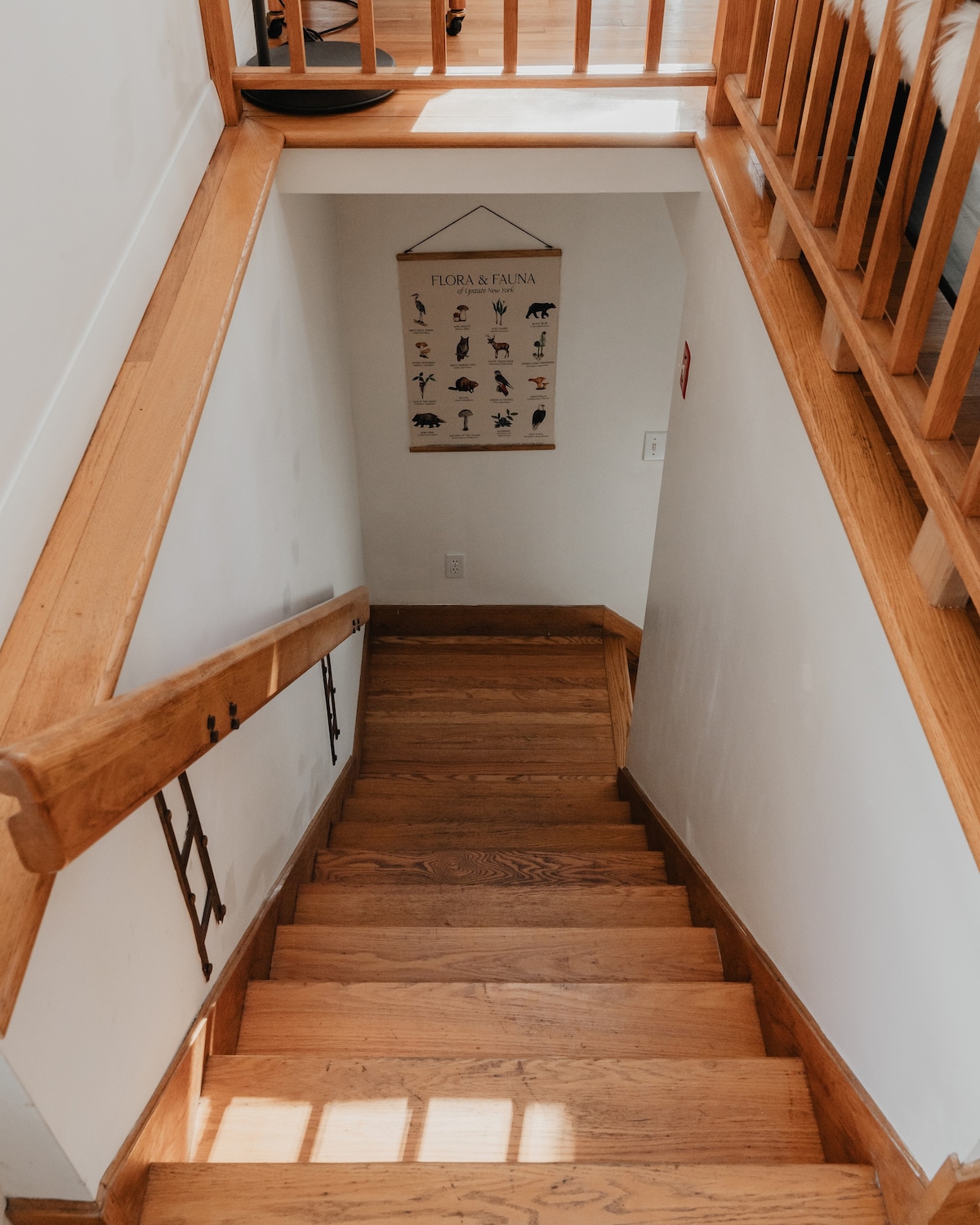 View looking down a wooden staircase with a wooden railing, leading to a lower level. A 'Flora & Fauna' poster hangs on the white wall beside the stairs, adding a decorative touch.
