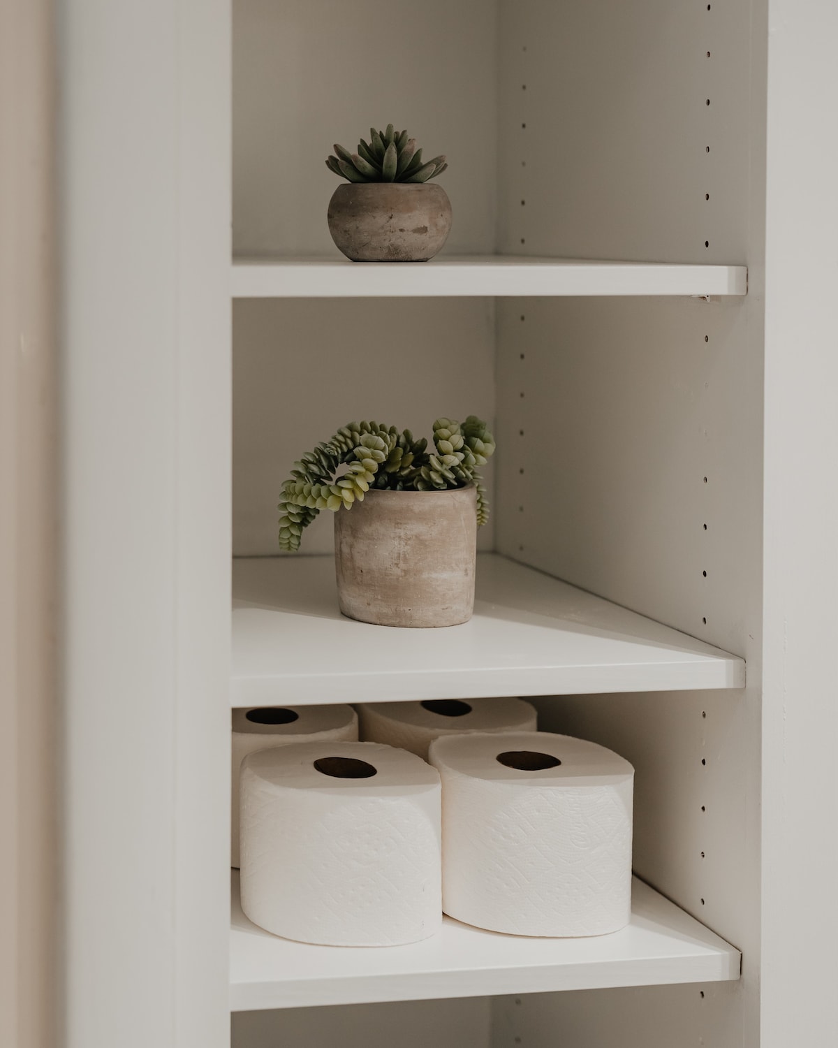 A close-up of white built-in shelves in a bathroom, neatly organized with rolls of toilet paper, a folded gray towel, and two small potted succulent plants.