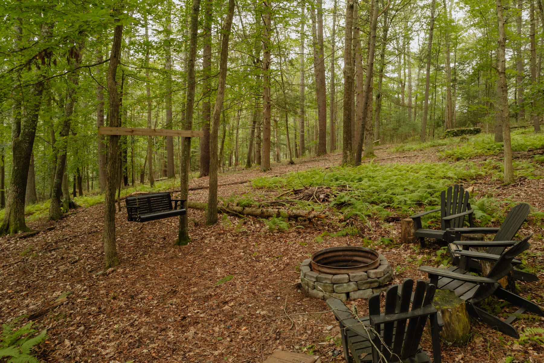An outdoor fire pit area is nestled in a wooded setting with tall trees and ferns, featuring a stone-ringed fire pit surrounded by several black Adirondack chairs. A wooden swing hangs from a tree nearby.