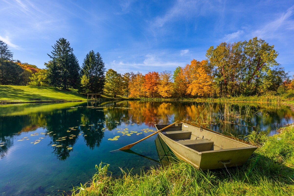 A serene pond reflecting a vibrant autumn landscape with colorful trees and a clear blue sky, featuring a small green rowboat pulled onto the grassy bank in the foreground.