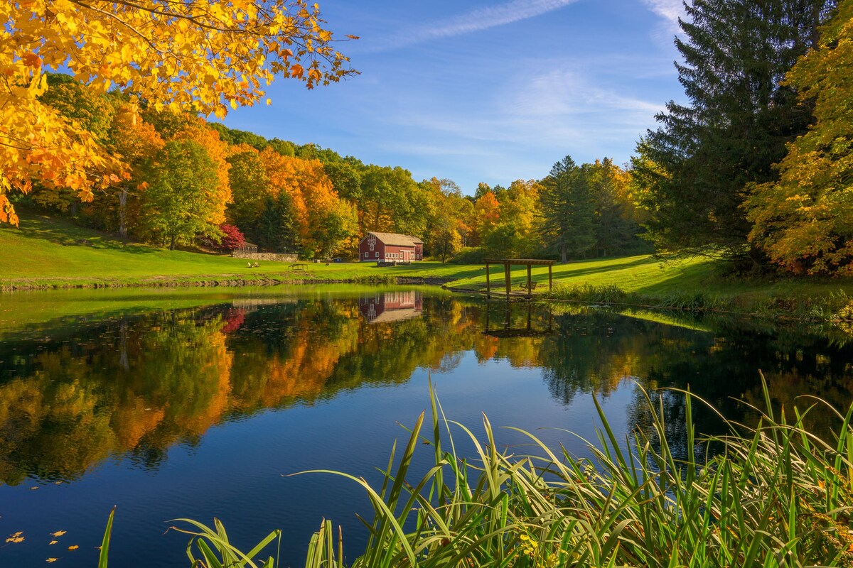 A serene pond reflecting the vibrant autumn colors of surrounding trees and a distant red house, with tall green reeds in the foreground.