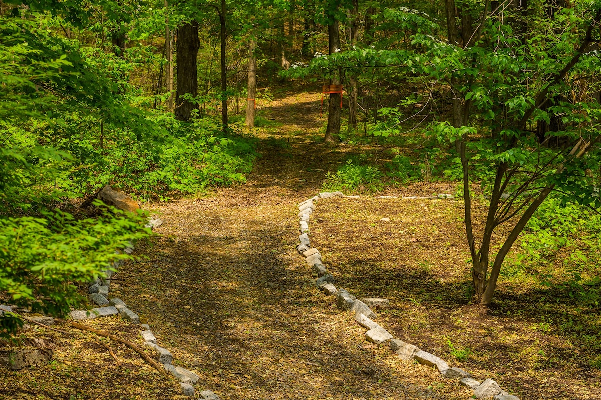 A charming, winding path, edged with small natural stones, meanders through a sunlit forest floor covered in fallen leaves. Lush green trees and undergrowth frame the inviting trail.