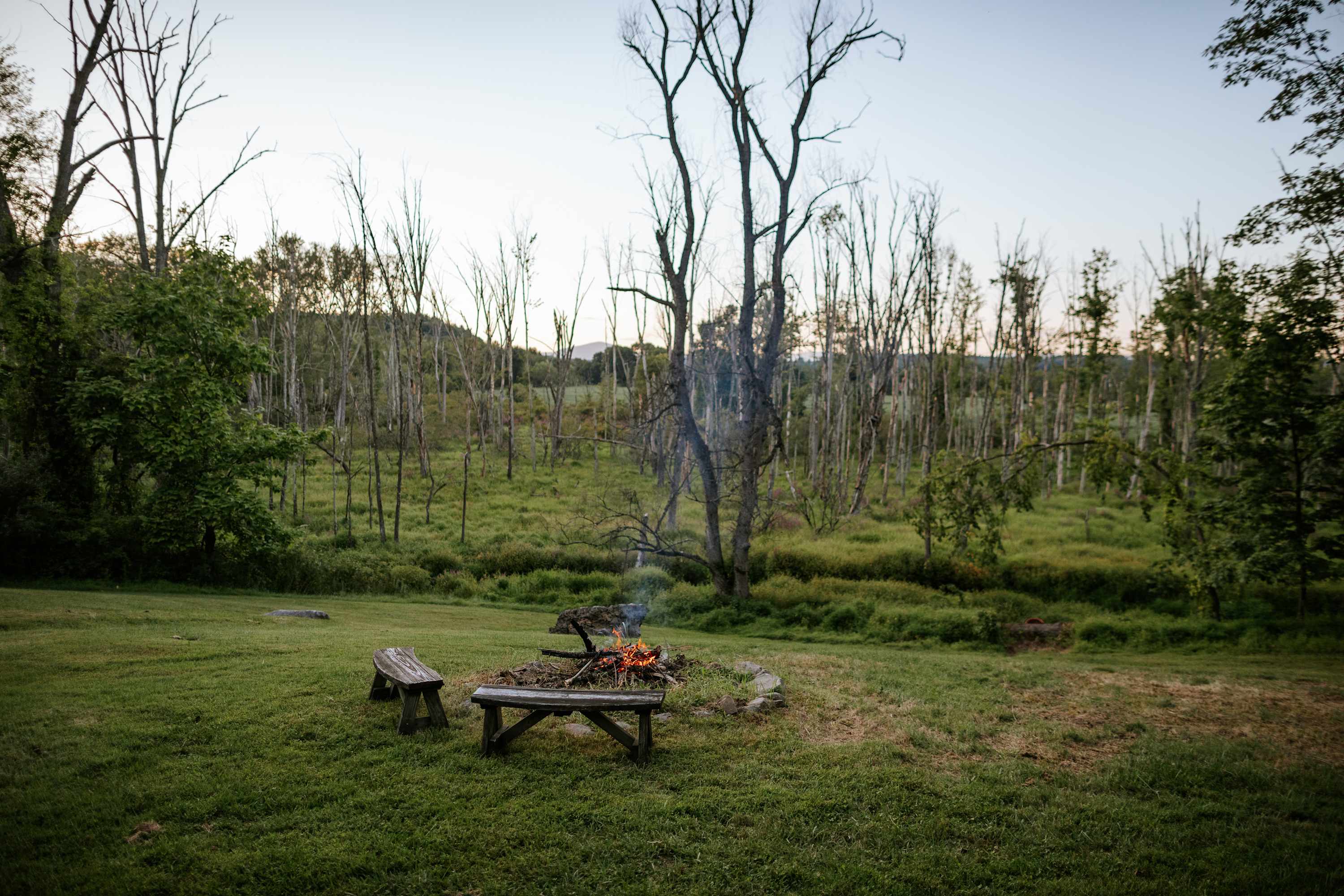 A cozy fire pit, surrounded by stones and two rustic wooden benches, set on a green lawn with a backdrop of bare trees and a distant forest, under a soft sky.