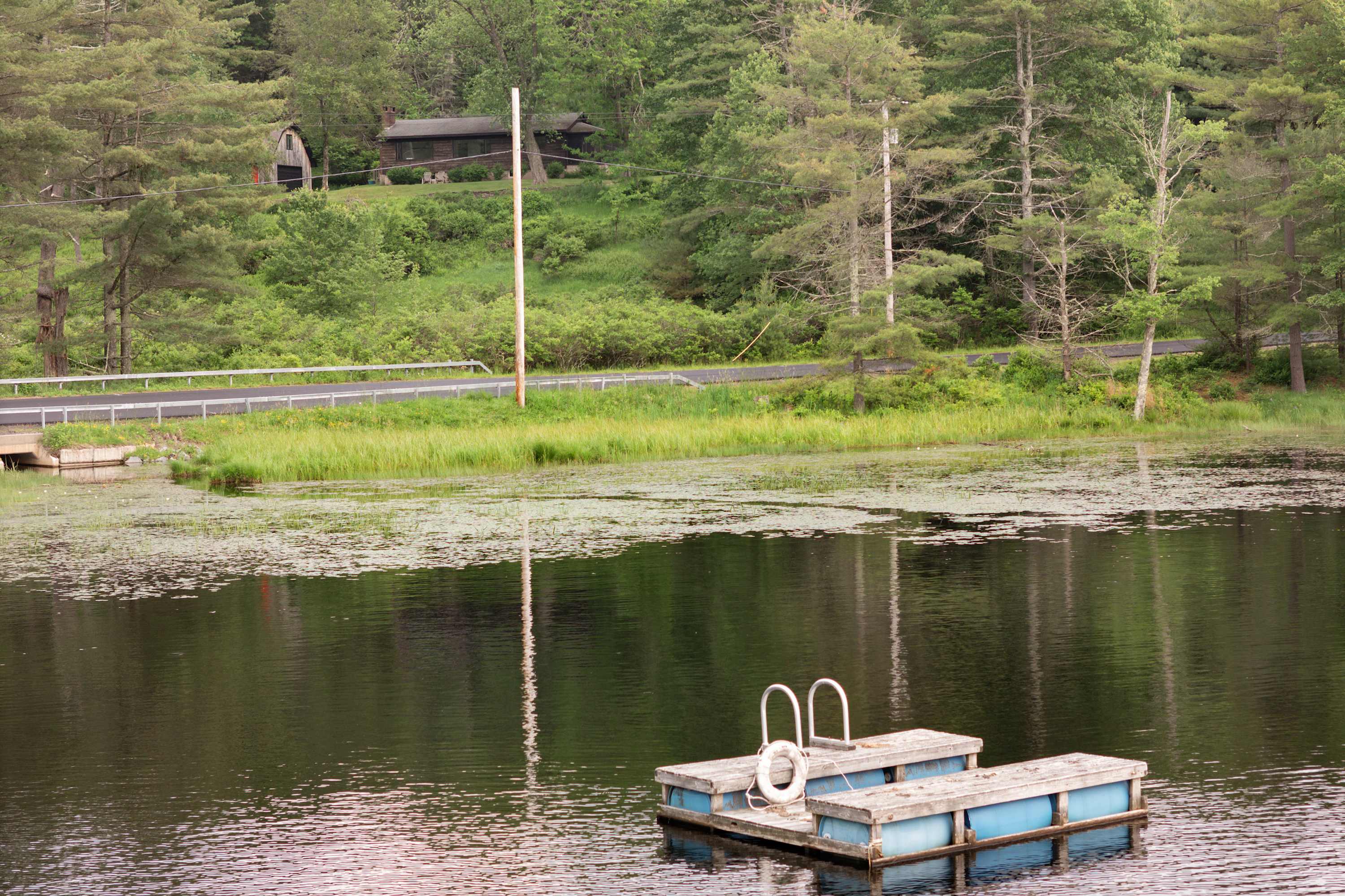 Serene lake scene featuring a blue and white floating dock with a life preserver in the foreground, surrounded by calm water and lush green trees. A road and the distant cabin are visible on the far shore.