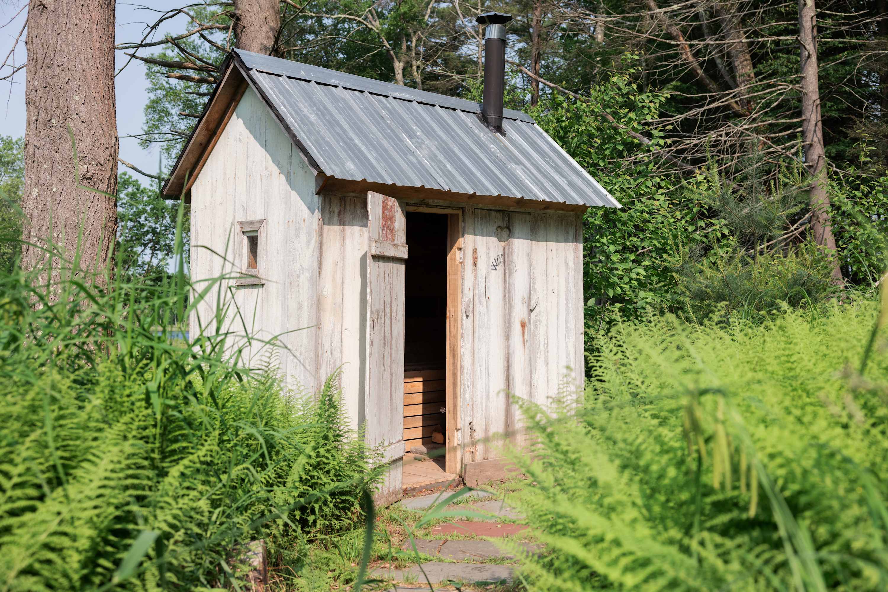 Rustic outdoor sauna housed in a small white wooden shed with a corrugated metal roof and a black stovepipe, surrounded by tall green ferns and trees.
