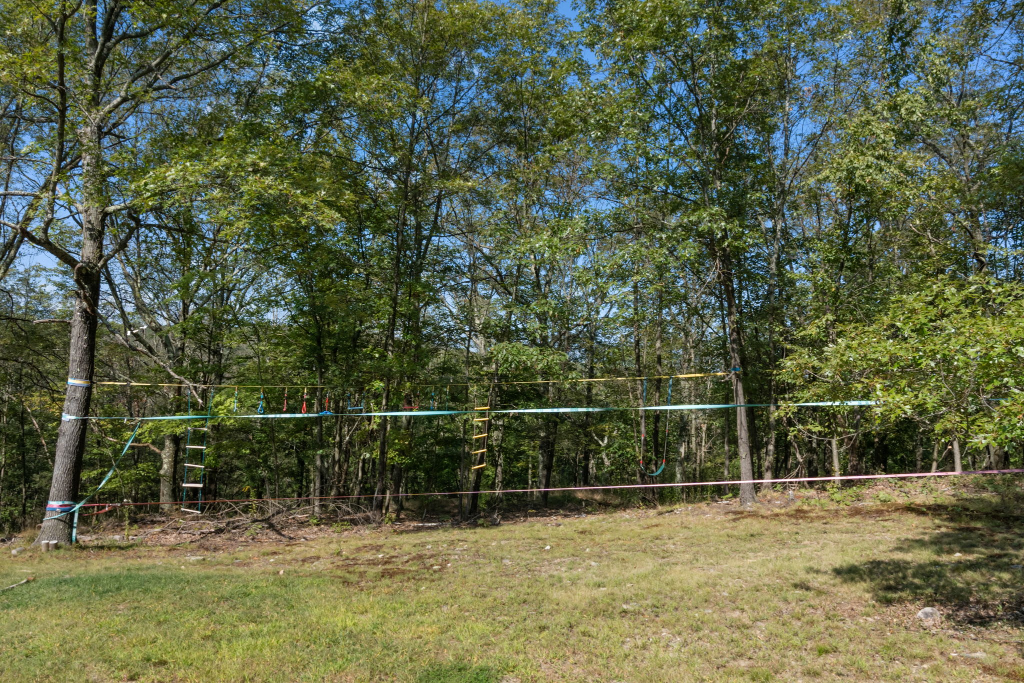 A colorful outdoor obstacle course, featuring various ropes and suspended elements, is set up between trees in a grassy, wooded area. This playful setup suggests a fun activity zone for children or adults.