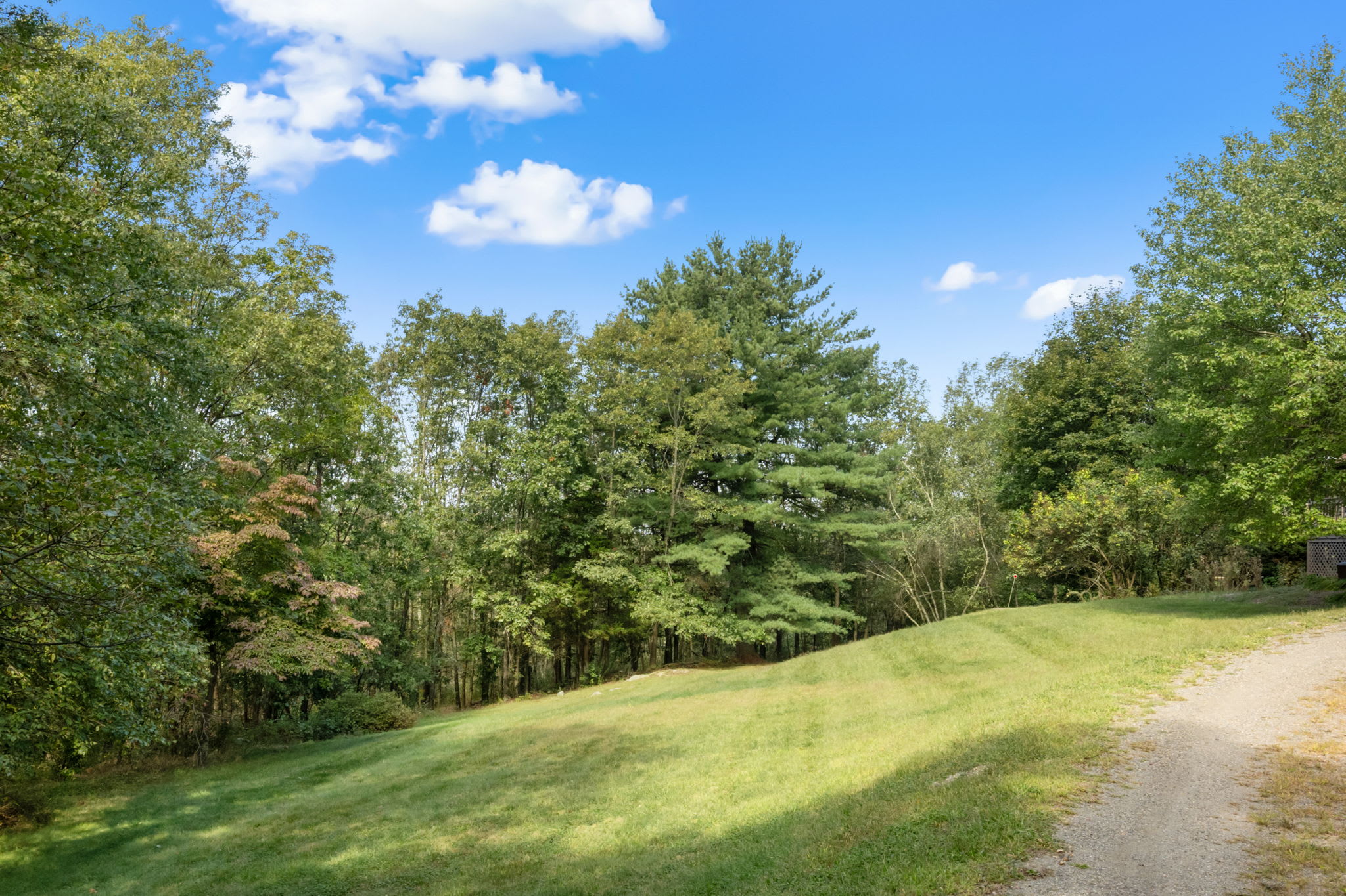 A wide shot of a spacious, gently sloping grassy yard surrounded by a dense forest of mature trees under a bright blue sky with scattered clouds. A gravel path is visible on the right leading into the wooded area.