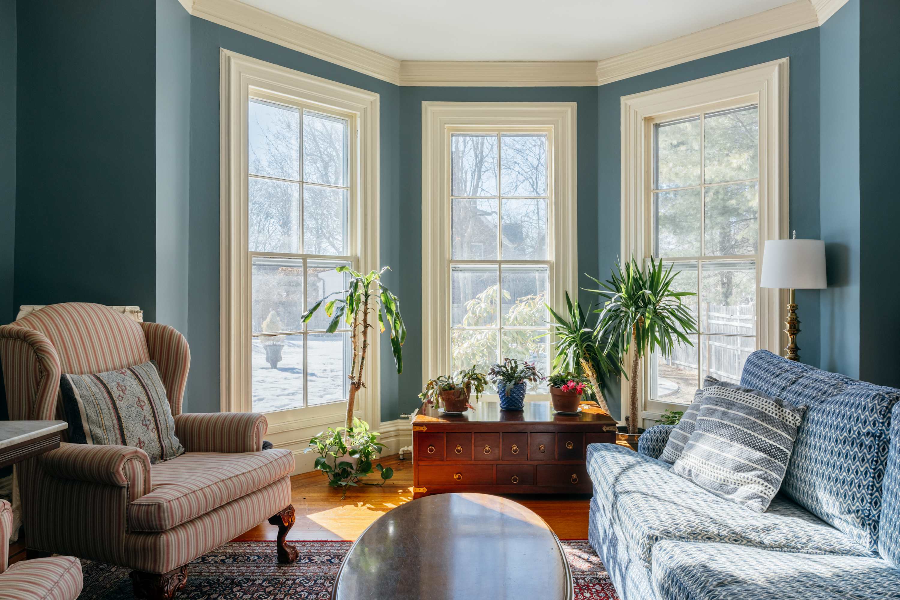 A sunlit living room corner showcasing a blue patterned sofa and a striped armchair, facing a series of large bay windows with views of the outdoors. Several potted plants add greenery to the bright space, which features polished hardwood floors.