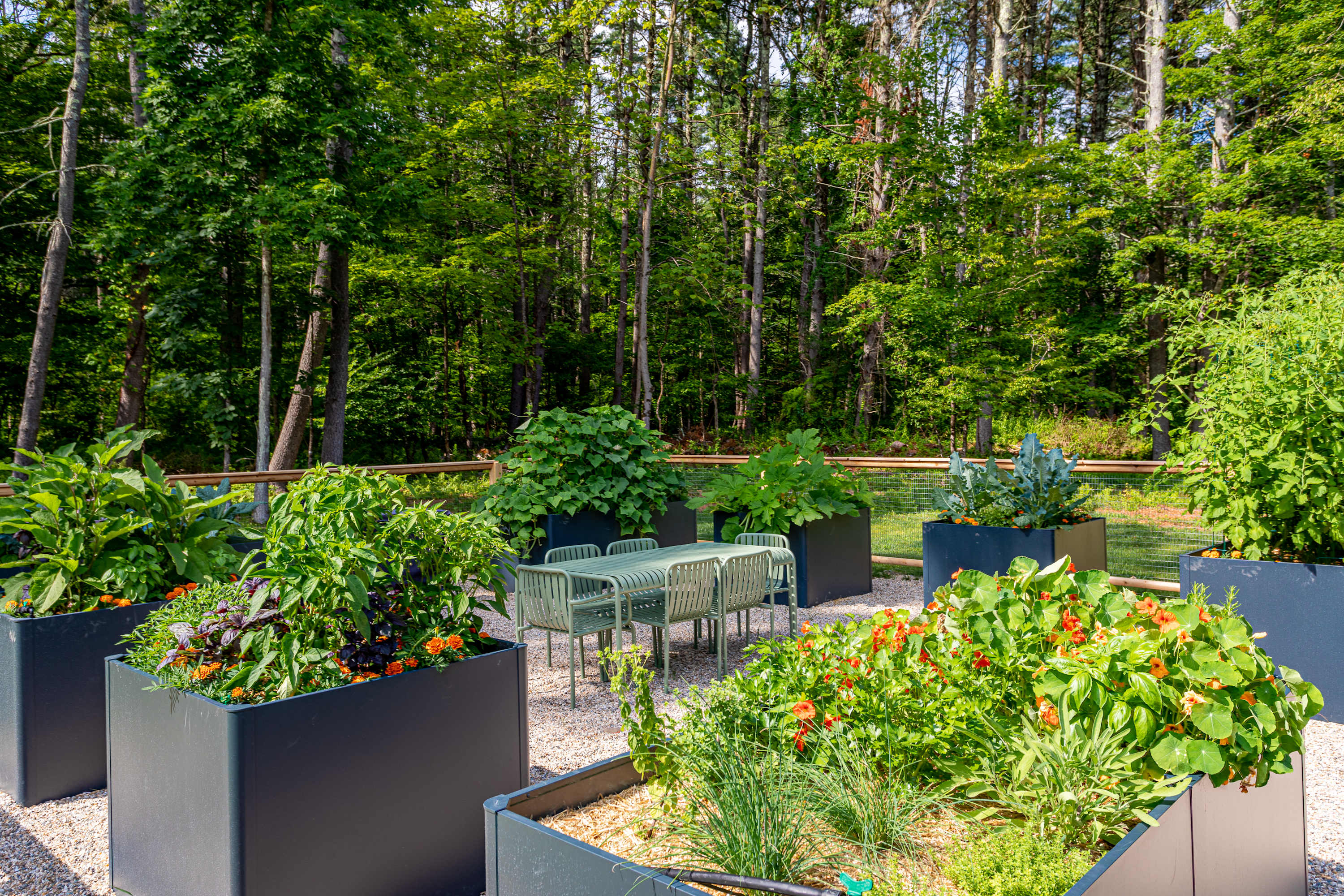 An inviting outdoor dining area features a green table and chairs, surrounded by large dark planters brimming with diverse plants and vibrant flowers, all set on a gravel patio against a backdrop of dense forest.