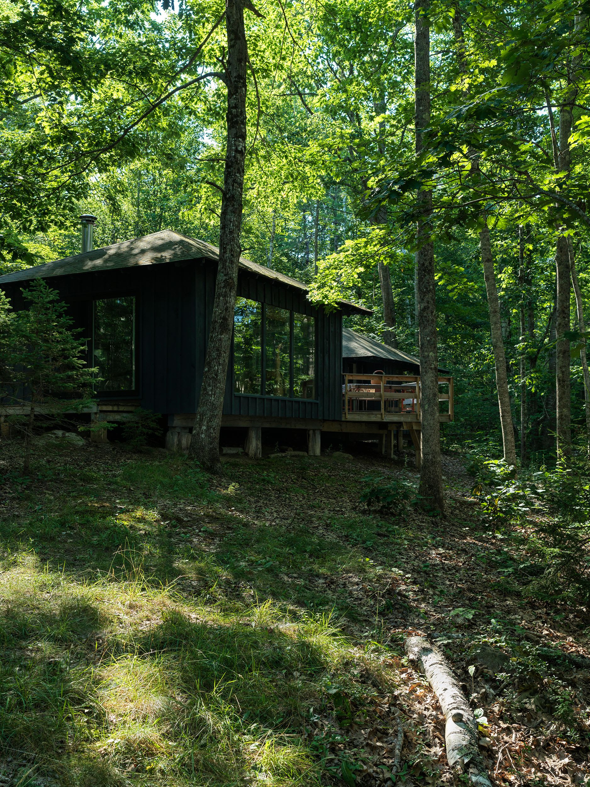 A dark-colored cabin with expansive windows and a wooden deck is nestled gracefully among tall, verdant trees on a gentle slope. Sunlight filters through the dense forest canopy, creating dappled light.